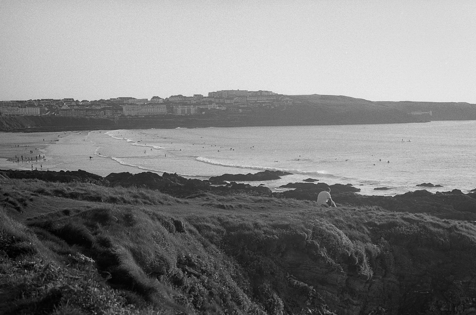 bird-bw-newquay